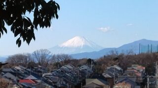 【謹賀新年】2026年に”ゆめ知財”が提供すること